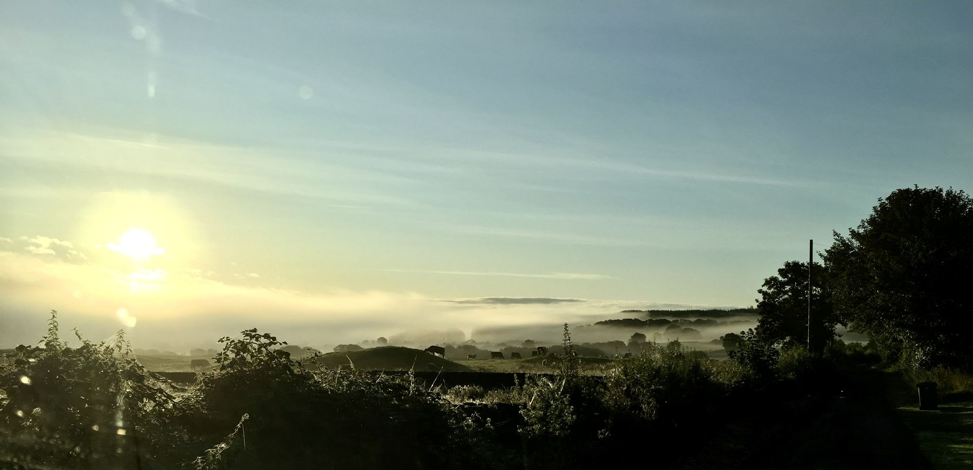 Sunrise over a misty Galloway valley, cattle grazing in the fields